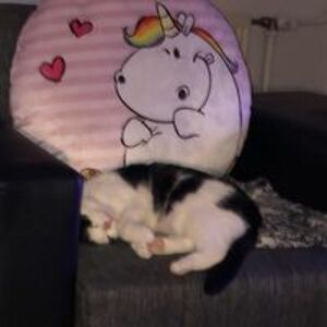 sunny_books98 avatar