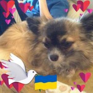 kathy_reed1939 avatar