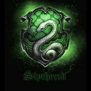 ginnyrose2007 avatar