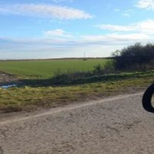 milicko_mijatovic_1 avatar