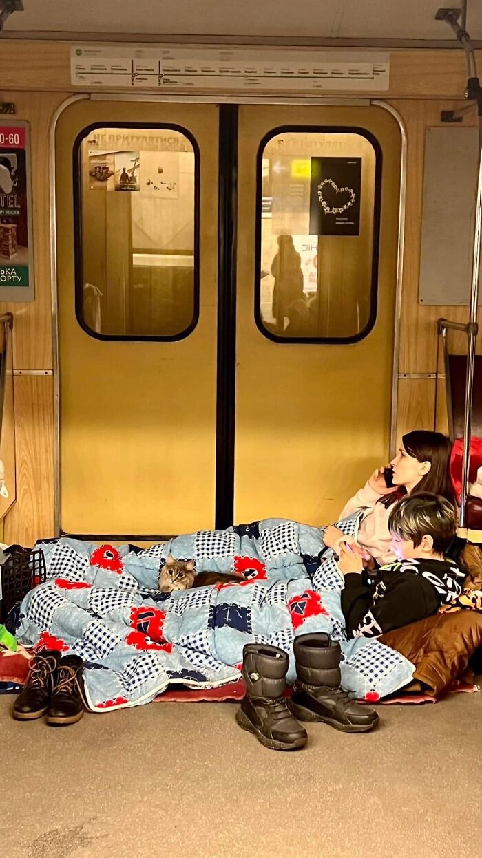 "7 Days Ago Everything Changed": This Is What It's Like To Live In The Kyiv Bomb Shelter When You’re A Cat "7 Days Ago Everything Changed": This Is What It's Like To Live In The Kyiv Bomb Shelter When You’re A Cat