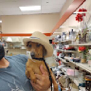 brendaserafin avatar