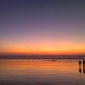 zoran_joksimovic avatar