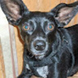 glennjernigan avatar