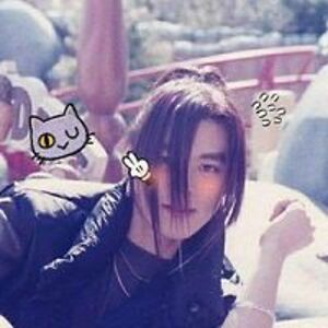 cityharmoniclover avatar