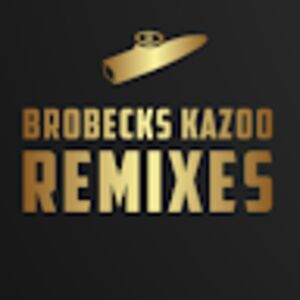 brobeckskazooremixes avatar