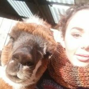 sevenfoxestattoo avatar