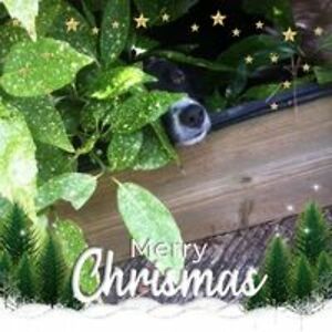 chrisatkins00 avatar