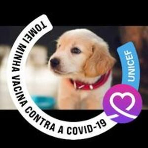 flavia_cassia avatar