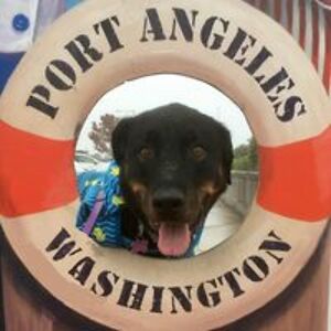 rachelle_whitley avatar