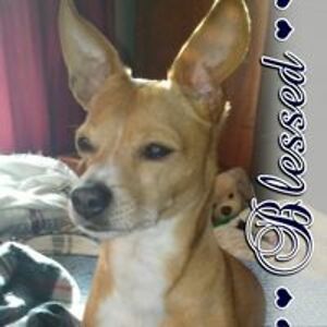 pennypincha821 avatar