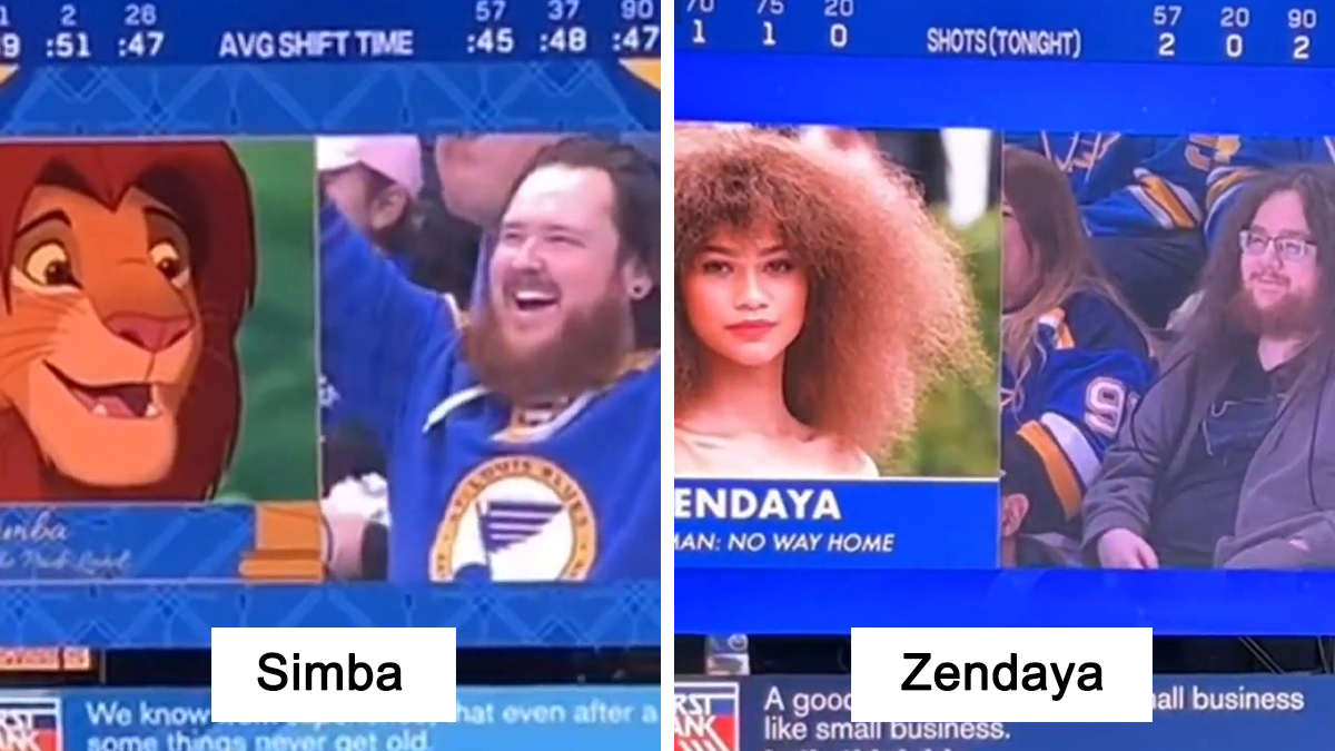 There Is A Lookalike Camera During St. Louis Blues Games, Here Are 35 Of Its Hilarious Discoveries