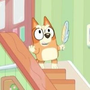 scott_brittany_lyn avatar