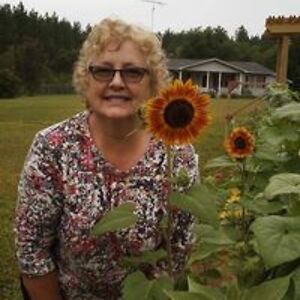 gypsygal30401 avatar