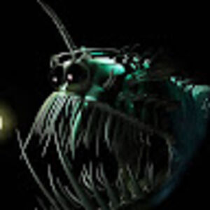 thearmegaddon avatar