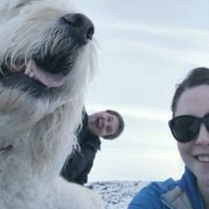 brittany_f_davis avatar