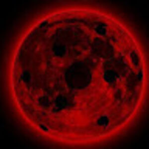 malachilemons avatar