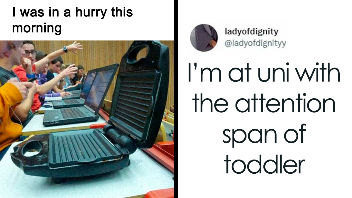 30 Funny And True Memes Students Might Relate To