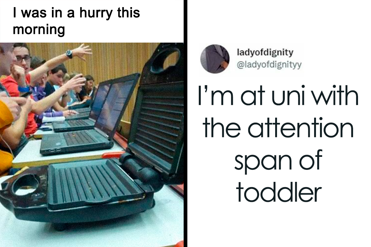 30 Funny And True Memes Students Might Relate To | Bored Panda