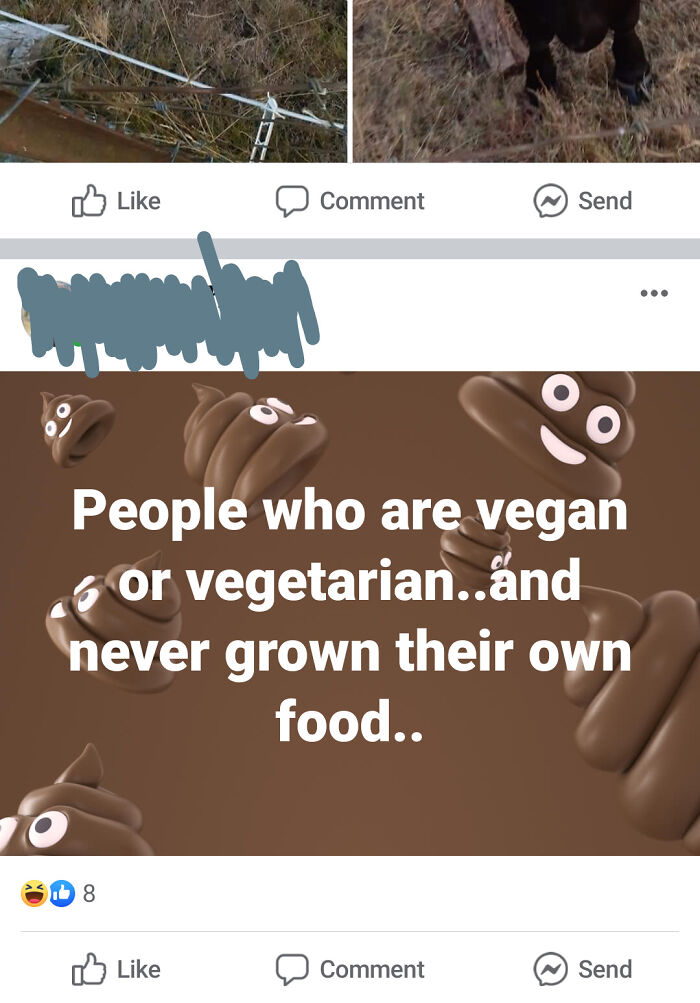 If You Are Vegetarian Or Vegan, You Sure As Hell Better Have A Vegetable Garden!!