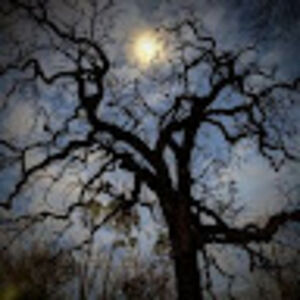 mamamiapapapia avatar