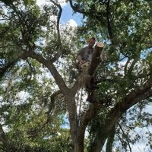 joeynorriscrossroads avatar