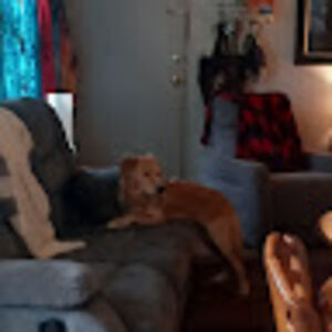 elisvlogsofawsome avatar