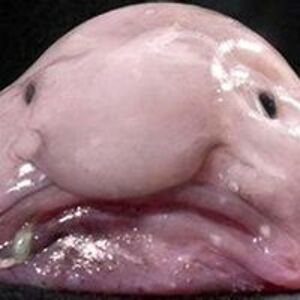 mattblackmatt avatar