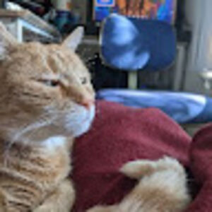 charleshundersmarck avatar