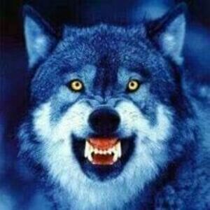 kathyjonesmcconnell avatar