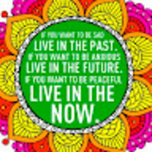 tanial_williamson avatar