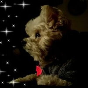 erin_crawford83 avatar