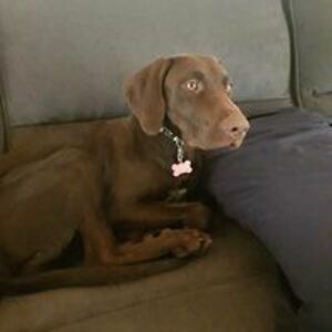 sienna_r_cini avatar