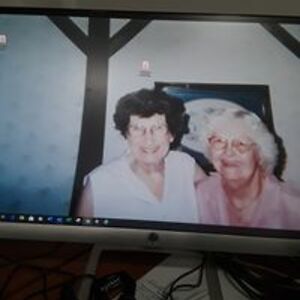 deniseconlon24 avatar