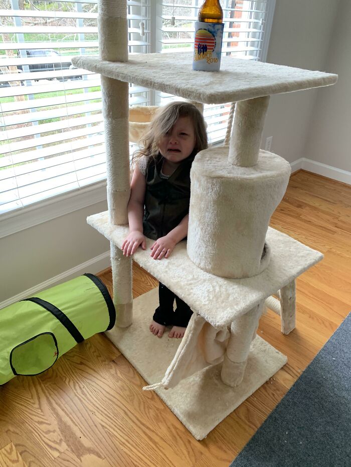 My Friend’s Kid Got Stuck In Our Cat Tower