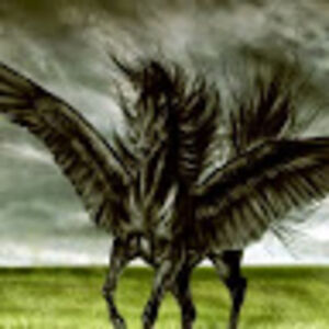 silverstarheggisist avatar