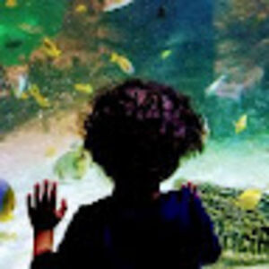 bradjohnson_2 avatar