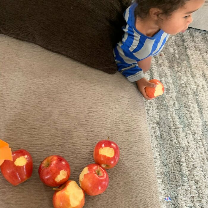 Kid Took A Single Bite Out Of All The Apples