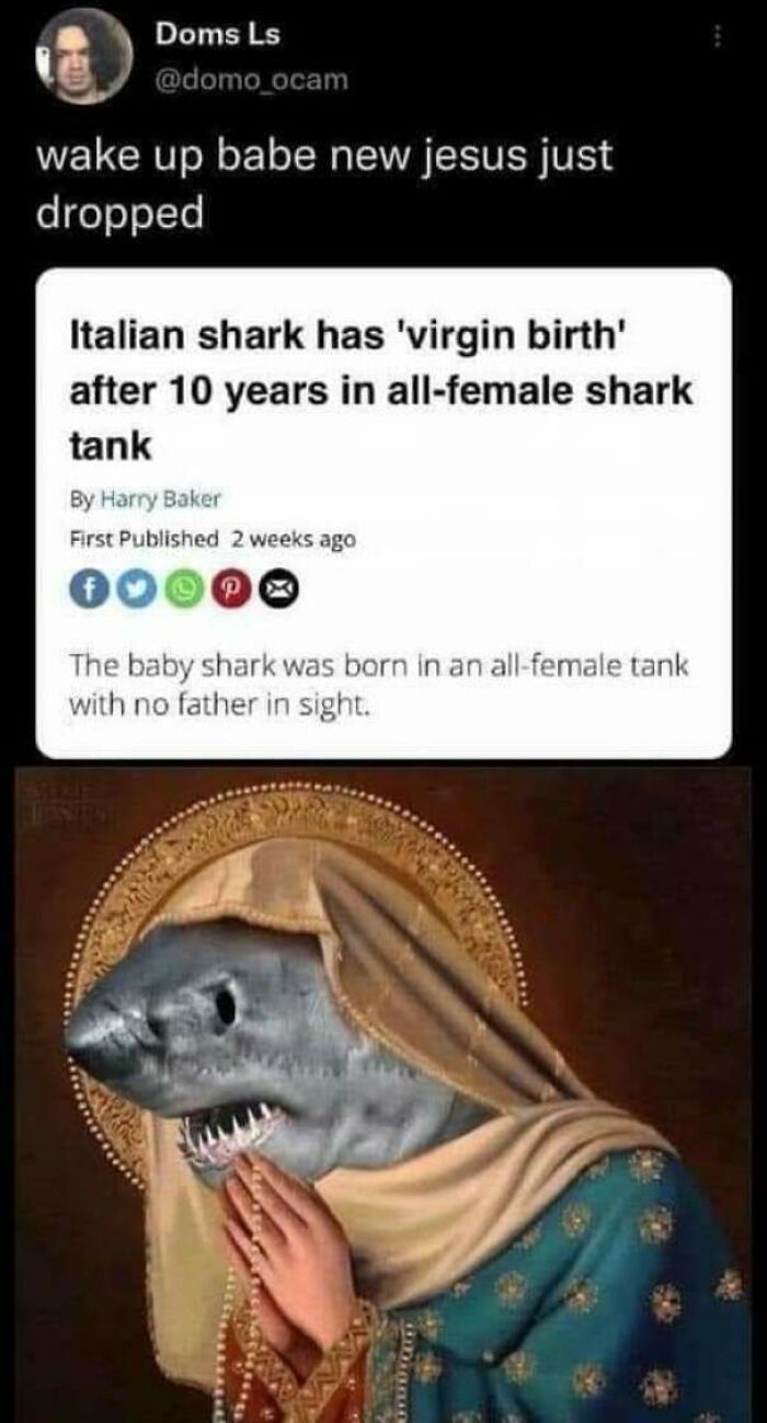 Shark Jesus