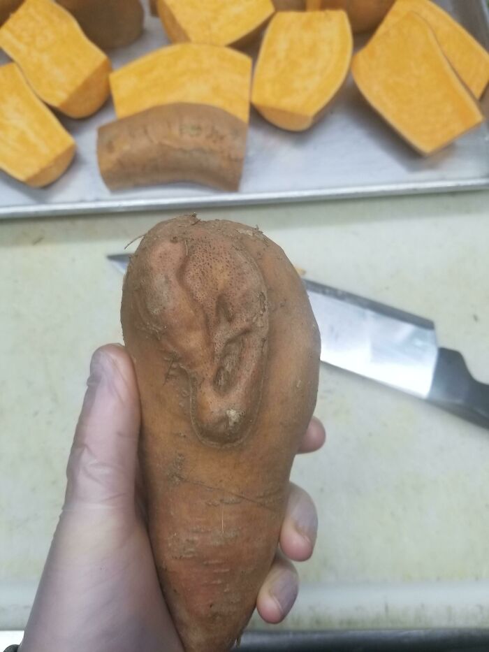 This Sweet Potato I Found At Work Has A Ear