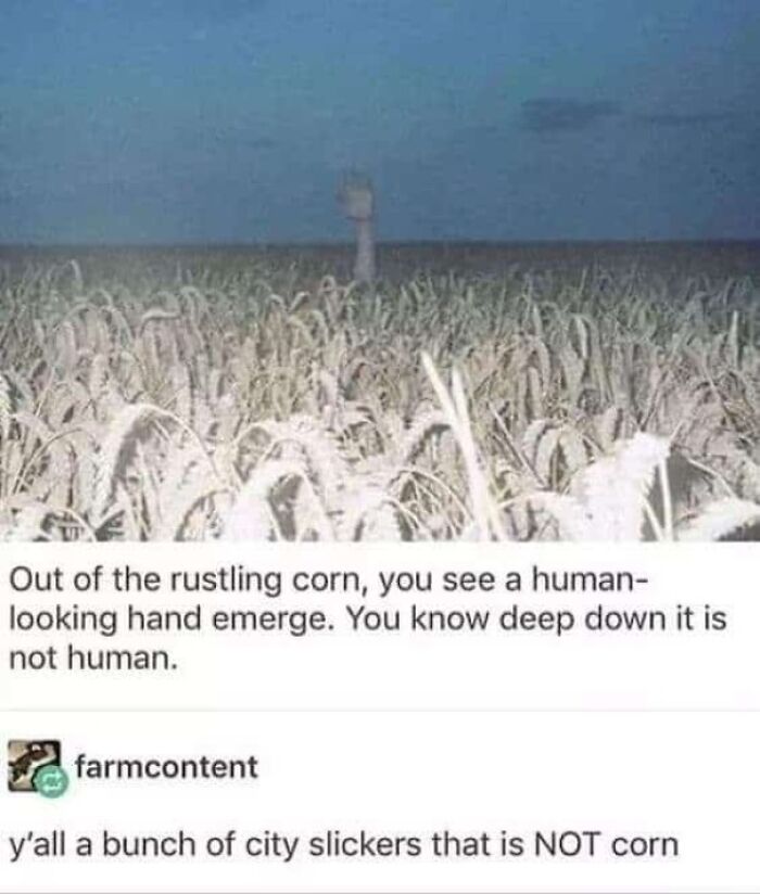 Not A Corn