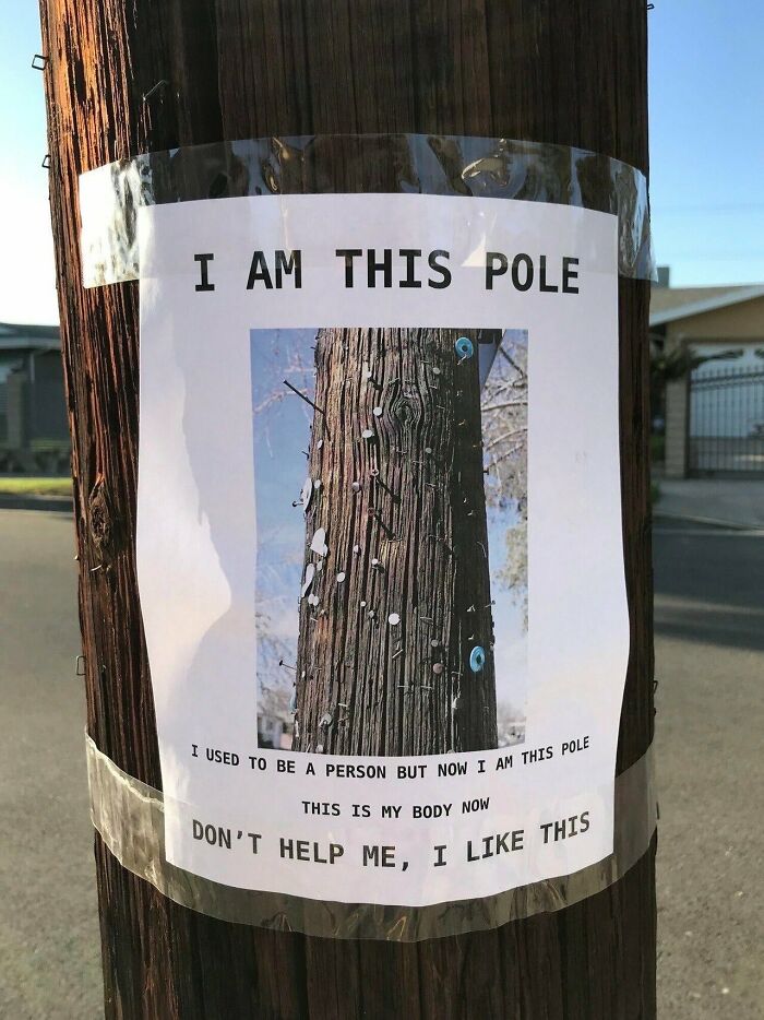 I Am This Pole