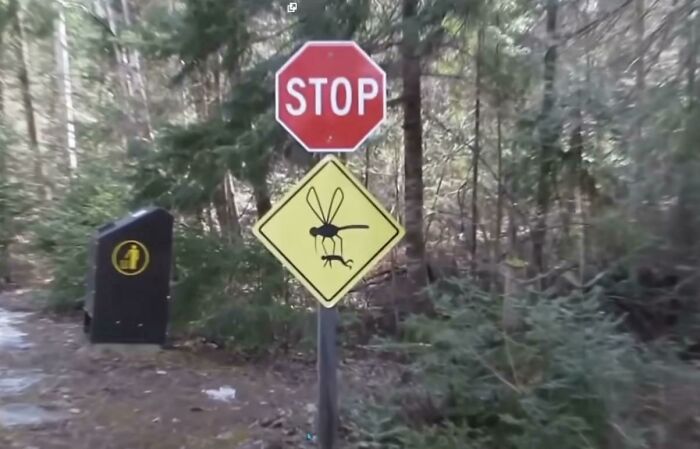 This Road Sign