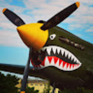 flyingtigers avatar