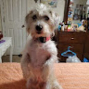 jenniferhawkins avatar