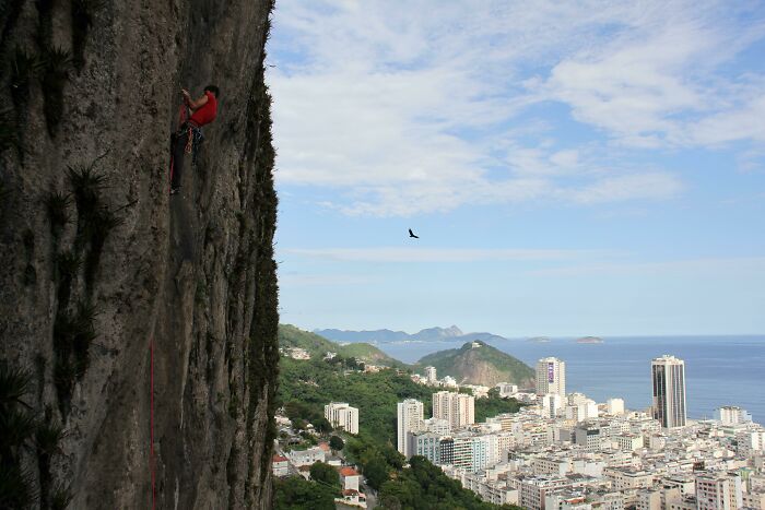 My Brother Climbing In Rio De Janeiro