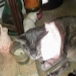 maryf_martinez_1 avatar