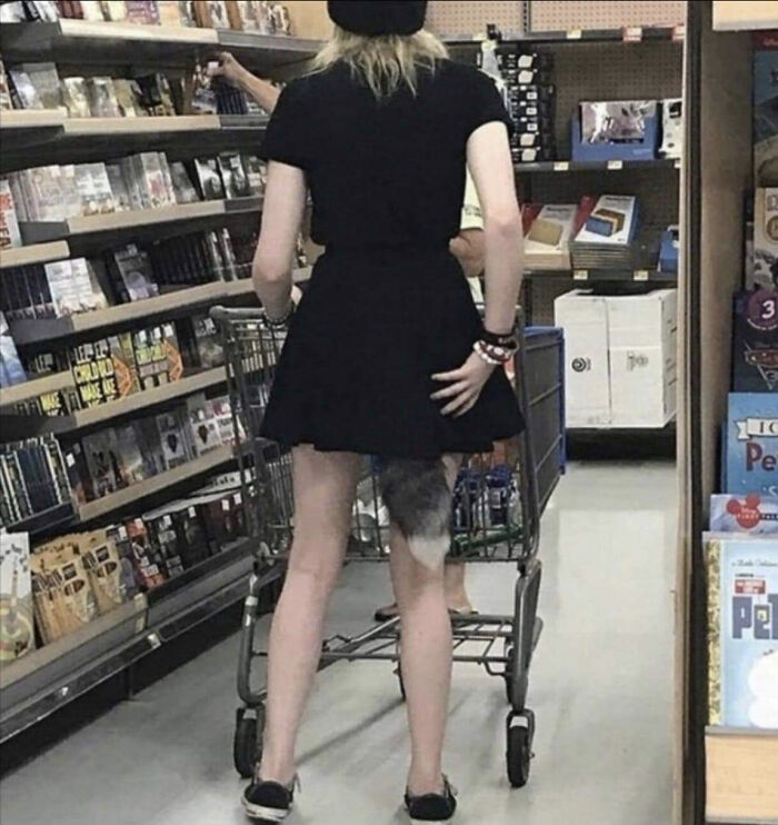 What Did The Fox Say 