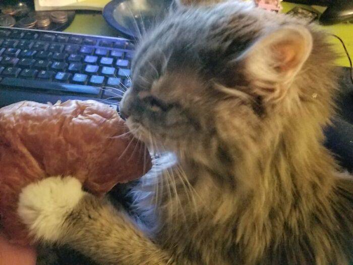 Spooky Tried To Steal My Croissant. Just Jumped Up And Started To Lick And Paw At It
