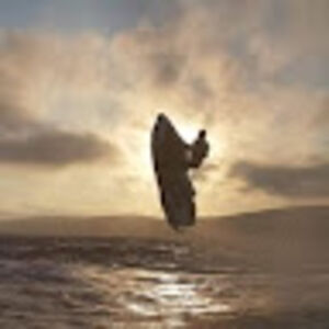 simcoe_seadoo avatar